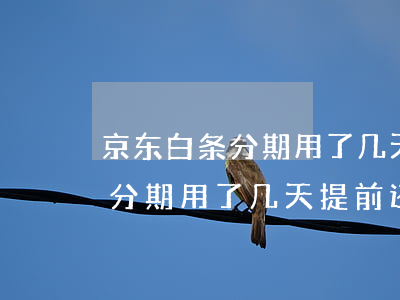 京东白条分期用了几天提前还款-京东白条分期用了几天提前还款可以吗