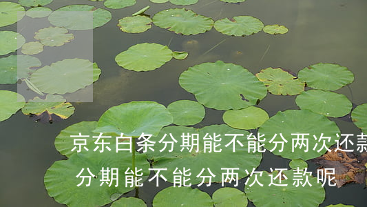 京东白条分期能不能分两次还款-京东白条分期能不能分两次还款呢