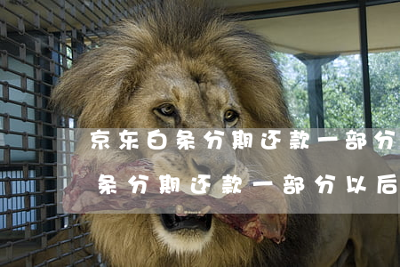 京东白条分期还款一部分以后退货-京东白条分期还款一部分以后退货怎么办