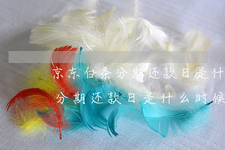 京东白条分期还款日是什么时候-京东白条分期还款日是什么时候还