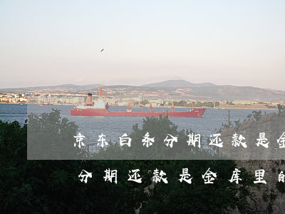 京东白条分期还款是金库里的嘛-京东白条分期还款是金库里的嘛安全吗