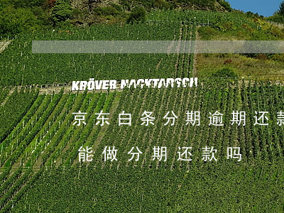 京东白条分期逾期还款会怎样 京东白条逾期能做分期还款吗