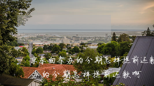 京东白条办的分期怎样提前还款-京东白条办的分期怎样提前还款啊