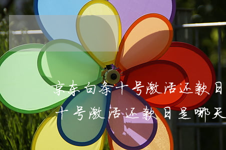 京东白条十号激活还款日是哪天-京东白条十号激活还款日是哪天的
