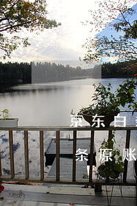 京东白条原账户上不去了怎么还款-京东白条原账户上不去了怎么还款呢