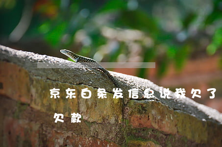 京东白条发信息说我欠了一份(京东白条说我欠款)