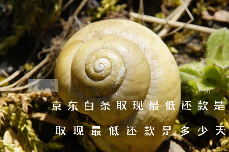 京东白条取现最低还款是多少天-京东白条取现最低还款是多少天的