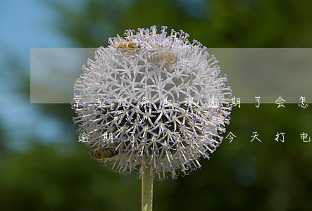 京东白条取现逾期了会怎么样(京东白条取现逾期了62天今天打电话来说不还要上征信)