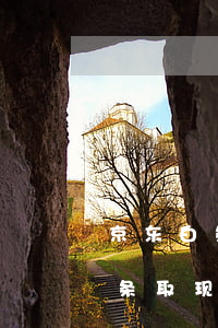 京东白条取现逾期半个月上征信吗-京东白条取现逾期半个月上征信吗有影响吗