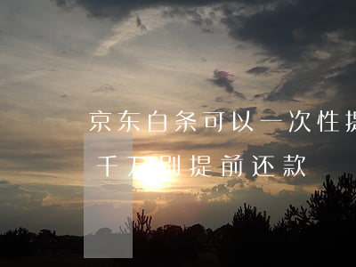 京东白条可以一次性提前还款吗-京东白条千万别提前还款