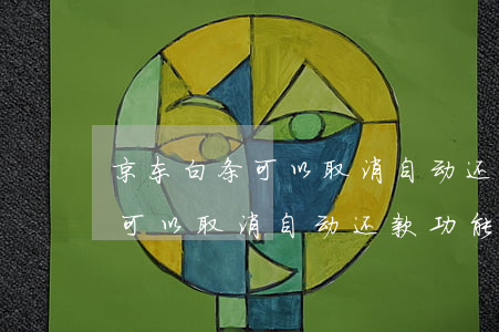 京东白条可以取消自动还款功能-京东白条可以取消自动还款功能吗