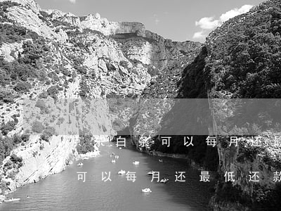 京东白条可以每月还最低还款吗-京东白条可以每月还最低还款吗
