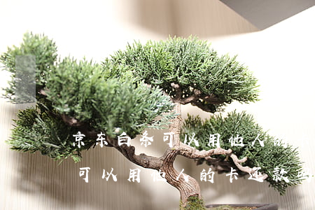 京东白条可以用他人的卡还款吗-京东白条可以用他人的卡还款吗安全吗