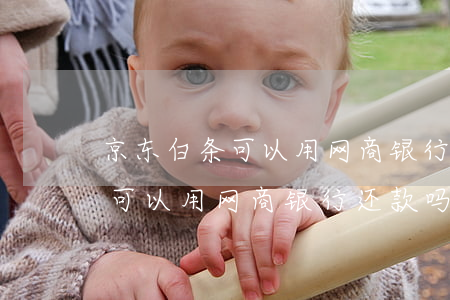京东白条可以用网商银行还款吗-京东白条可以用网商银行还款吗安全吗