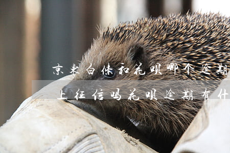 京东白条和花呗哪个逾期严重(京东白条逾期上征信吗?花呗逾期有什么后果)