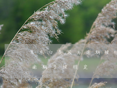 京东白条因为逾期被锁定怎么解锁（京东白条逾期了被锁定）