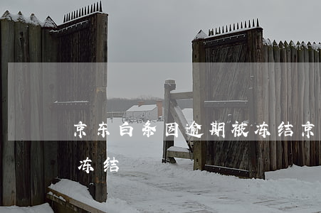 京东白条因逾期被冻结 京东白条无缘无故被冻结