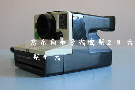 京东白条多次逾期23天(京东白条不小心逾期4天)