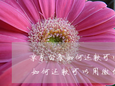 京东白条如何还款可以用微信吗-京东白条如何还款可以用微信吗安全吗