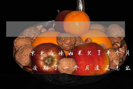 京东白条如果欠了半个月没还(京东白条有谁逾期了一个月没还怎么样了)