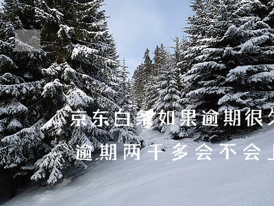 京东白条如果逾期很久会上门么-京东白条逾期两千多会不会上门
