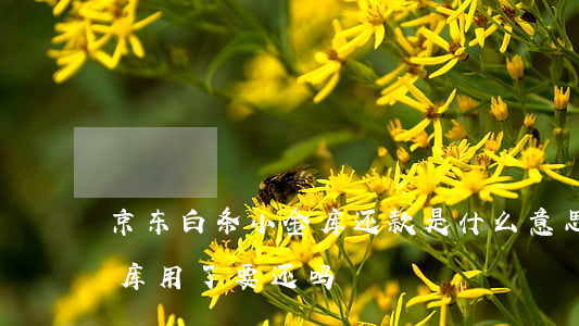 京东白条小金库还款是什么意思-京东小金库用了要还吗