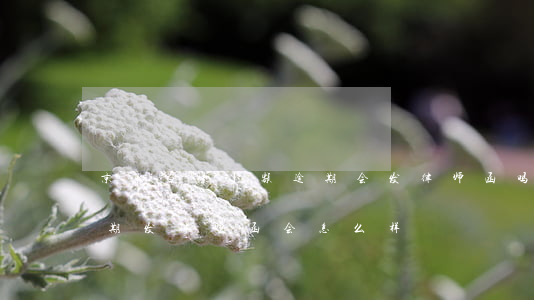 京东白条小额逾期会发律师函吗(京东白条逾期发律师函会怎么样)