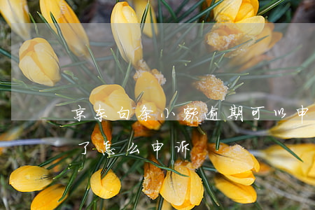 京东白条小额逾期可以申诉吗(京东白条逾期了怎么申诉)