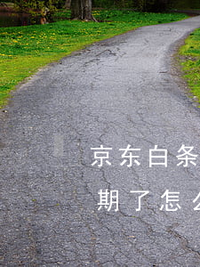 京东白条延期了怎么还算逾期-京东白条延期了怎么还算逾期