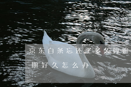 京东白条忘还了多久算逾期 京东白条以前逾期好久怎么办