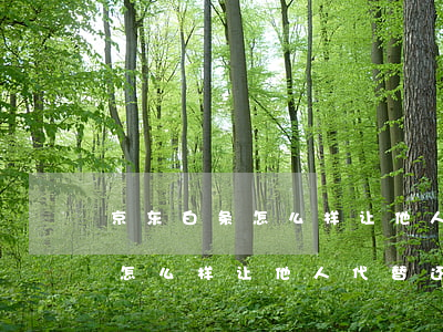 京东白条怎么样让他人代替还款-京东白条怎么样让他人代替还款呢