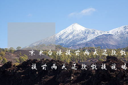 京东白条提前两天还款能提现吗-京东白条提前两天还款能提现吗安全吗