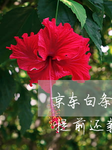 京东白条提前还款后能不能再借-京东白条提前还款后能不能再借出来