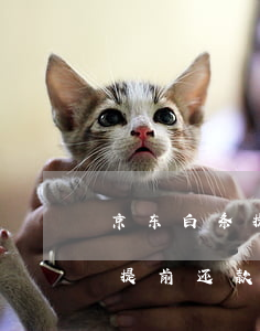 京东白条提前还款后贷不出来了-京东白条提前还款后用不了