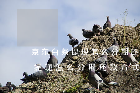 京东白条提现怎么分期还款方式-京东白条提现怎么分期还款方式呢