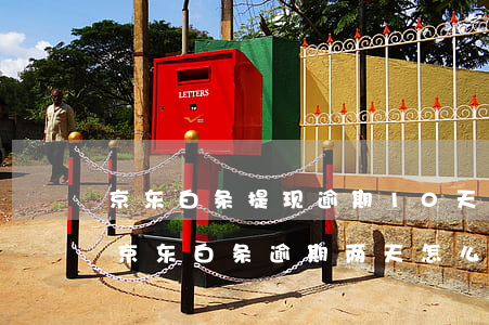 京东白条提现逾期10天,还了还能立马提吗（京东白条逾期两天怎么提不了现了）