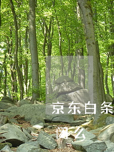 京东白条无逾期关闭 京东白条会因为逾期关闭么