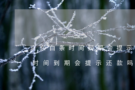 京东白条时间到期会提示还款吗-京东白条时间到期会提示还款吗安全吗