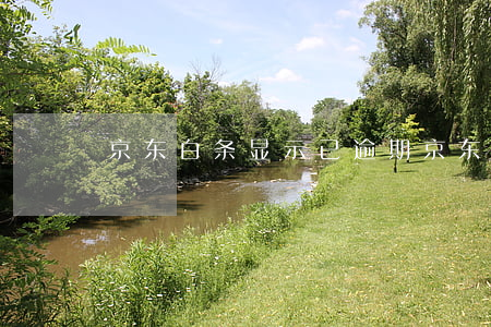 京东白条显示已逾期(京东白条 逾期了怎么办)