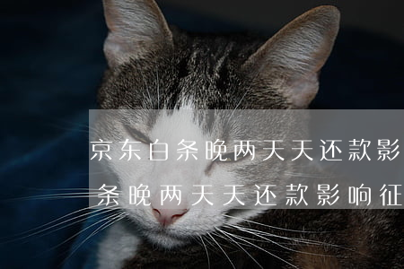 京东白条晚两天天还款影响征信吗-京东白条晚两天天还款影响征信吗怎么办