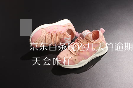 京东白条晚还几天算逾期吗 京东白条逾期几天会咋样