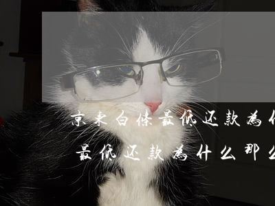 京东白条最低还款为什么那么多-京东白条最低还款为什么那么多额度