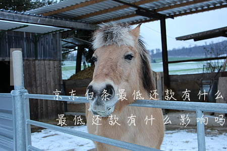 京东白条最低还款有什么影响吗-京东白条最低还款有什么影响吗安全吗