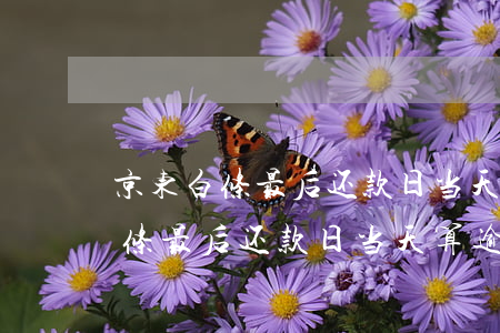 京东白条最后还款日当天算逾期吗-京东白条最后还款日当天算逾期吗