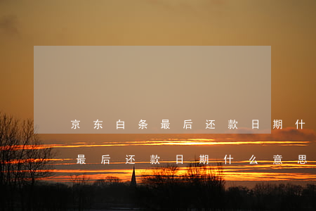 京东白条最后还款日期什么意思-京东白条最后还款日期什么意思啊