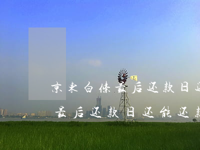 京东白条最后还款日还能还款吗-京东白条最后还款日还能还款吗安全吗
