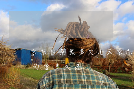 京东白条最多欠几天(京东白条还了最低 剩下的要多久还)