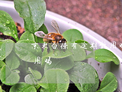 京东白条有逾期能用吗(京东白条逾期还可以用吗)