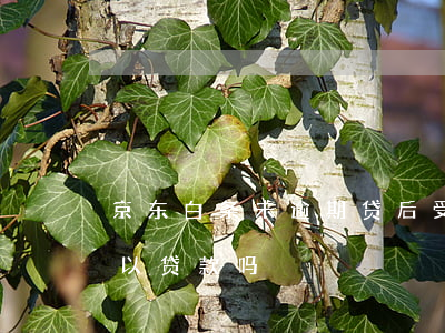 京东白条未逾期贷后受理-京东白条逾期可以贷款吗