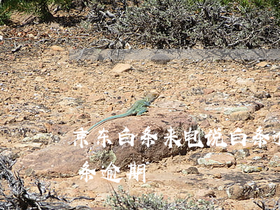 京东白条来电说白条逾期(京东白条来电说白条逾期)